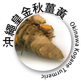 秋薑黃 沖繩皇金 