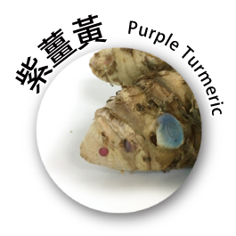 紫薑黃